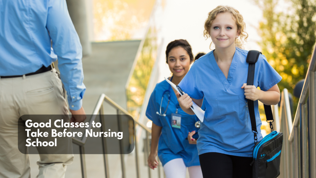 You are currently viewing Good Classes to Take Before Nursing School